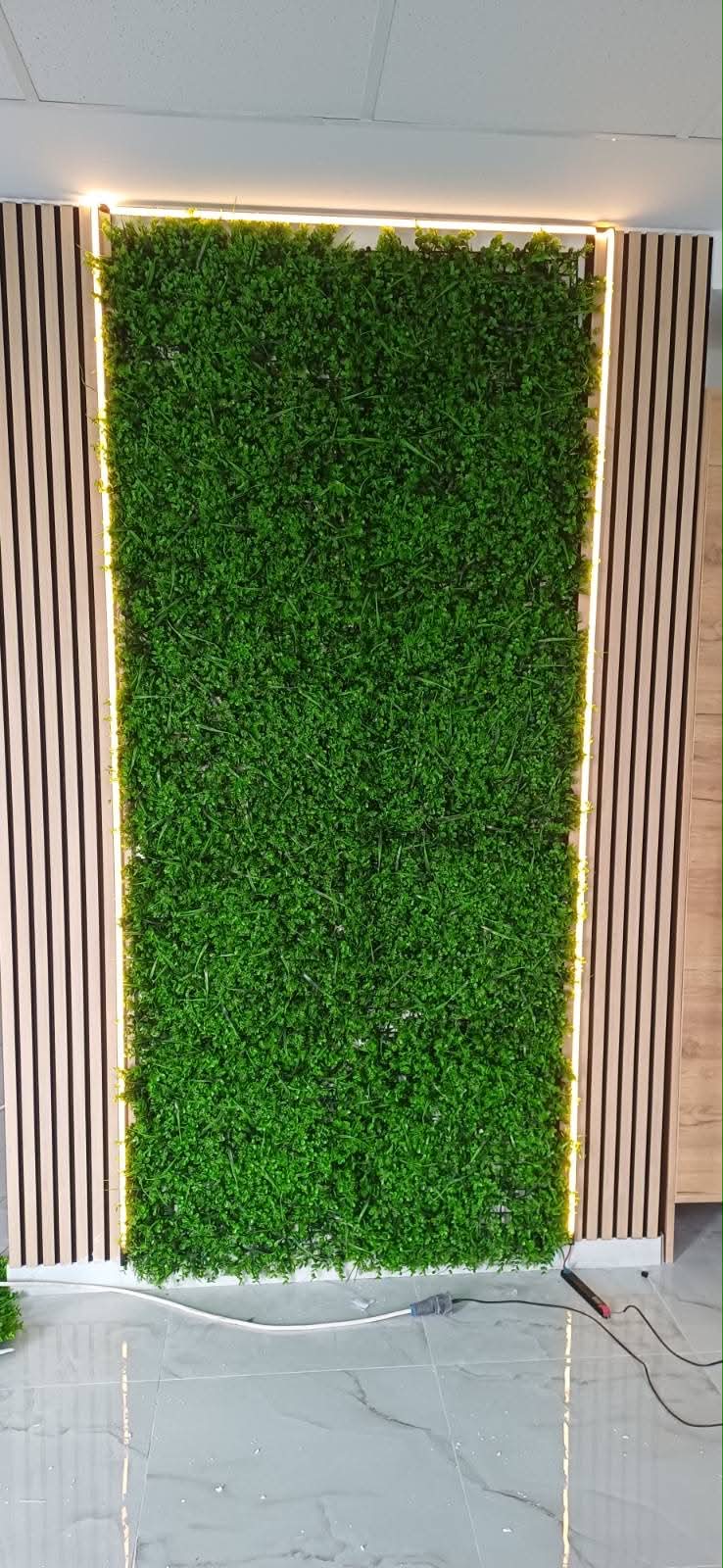 Elektring projekat 86